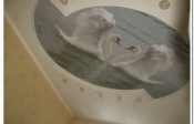 Image00009
