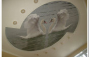 Image00010