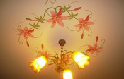 Image00035