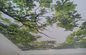 Image00043