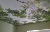 Image00044
