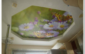 Image00001