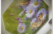 Image00002