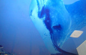 Image00001