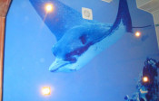 Image00002